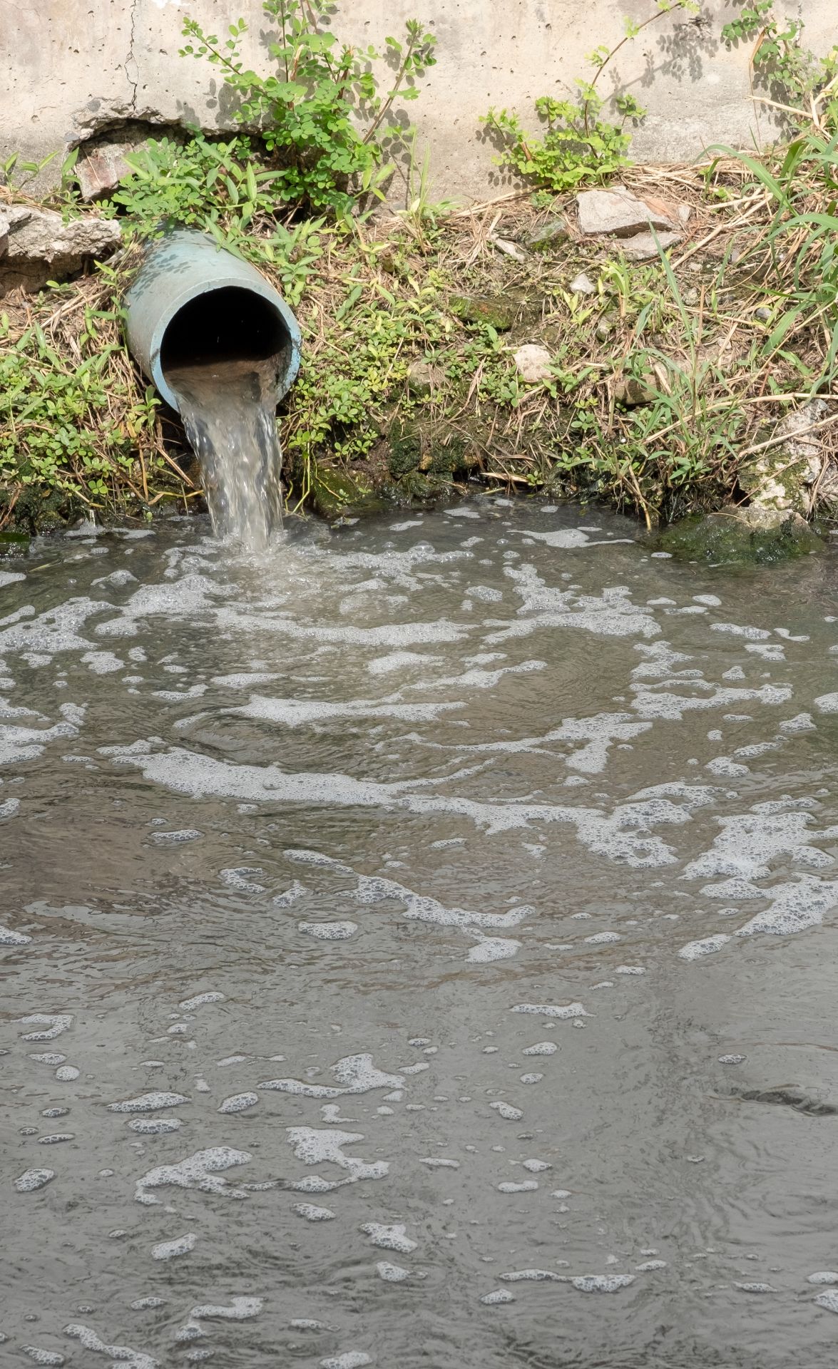 Raw Effluent Discharge