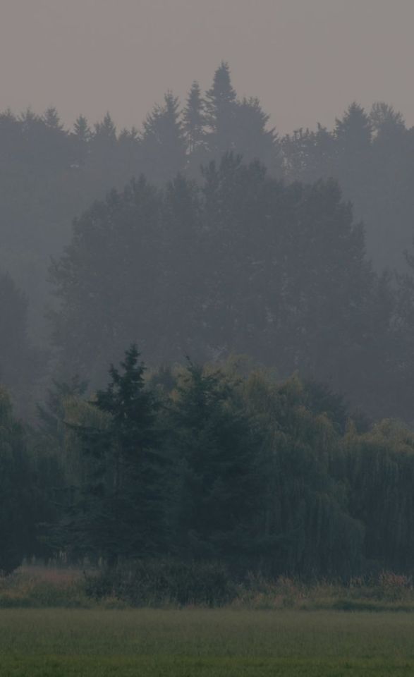 Environmental Impact