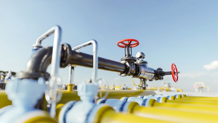 Flare System / Emergency Gas Disposal