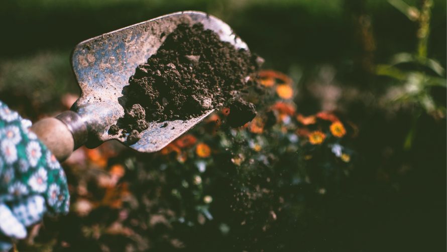 Digestate Handling & Post-treatment