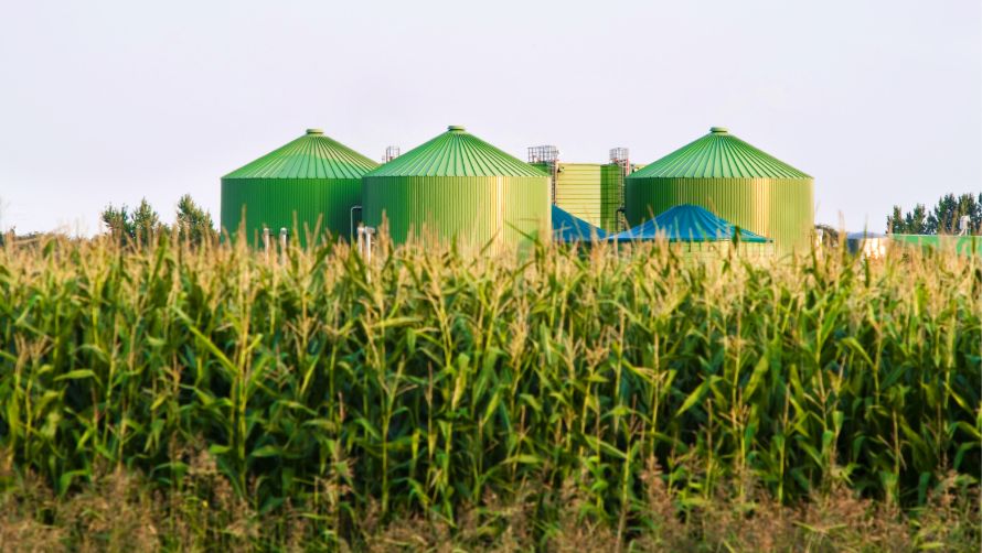 Waste Handling & Biogas Recovery