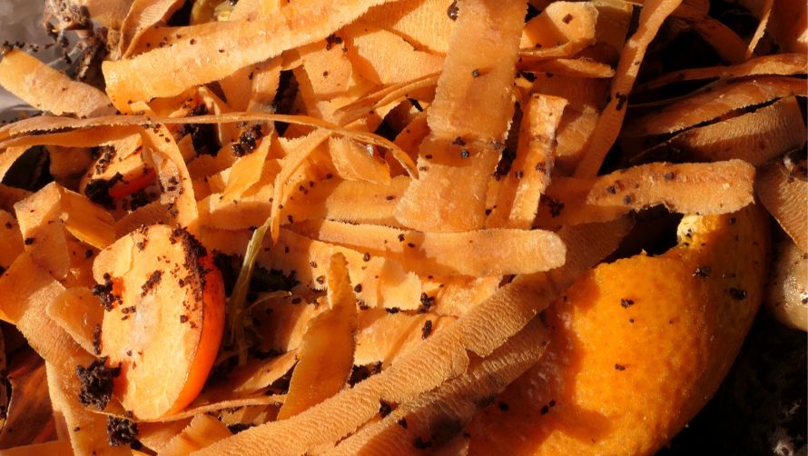 Feedstock Handling & Pre-treatment