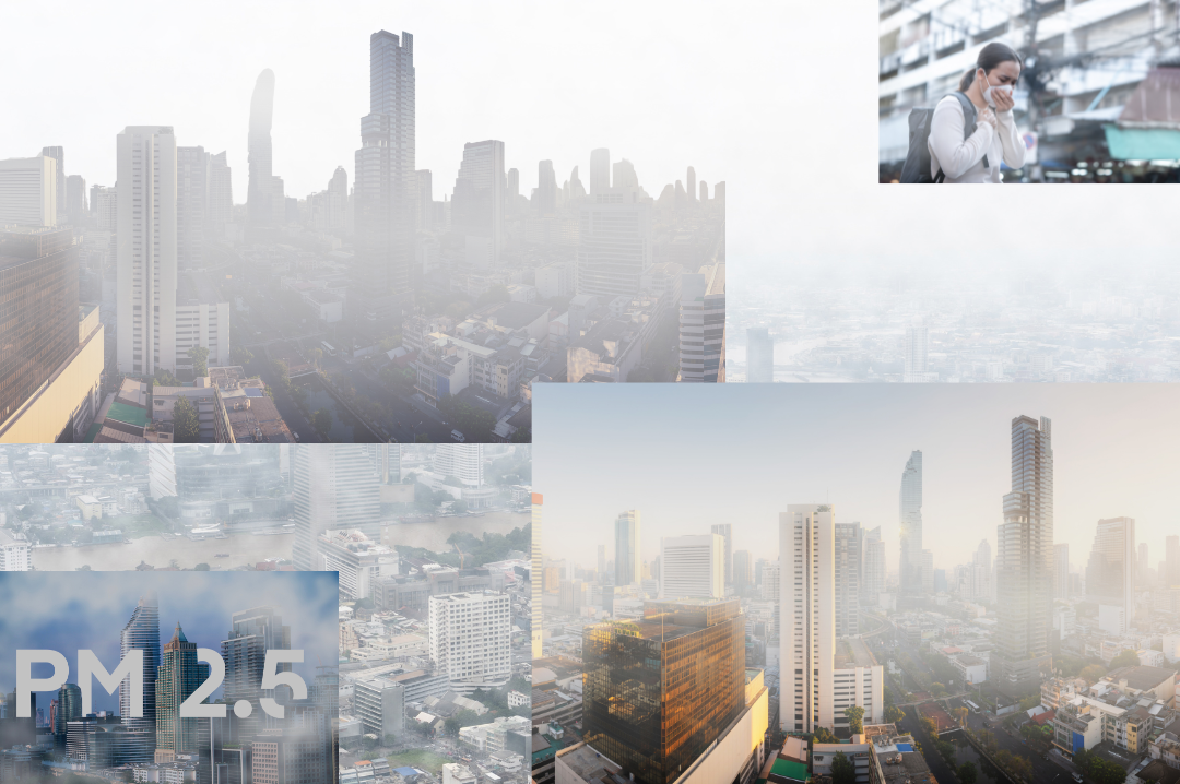 The Impact of PM1.0, PM2.5, and PM10: Key Differences You Need to Know