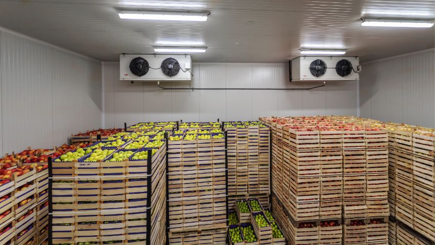 Refrigeration & Cold Storage