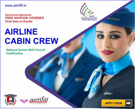 Free aviation course - Airline CABIN CREW