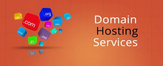 Domain Hosting