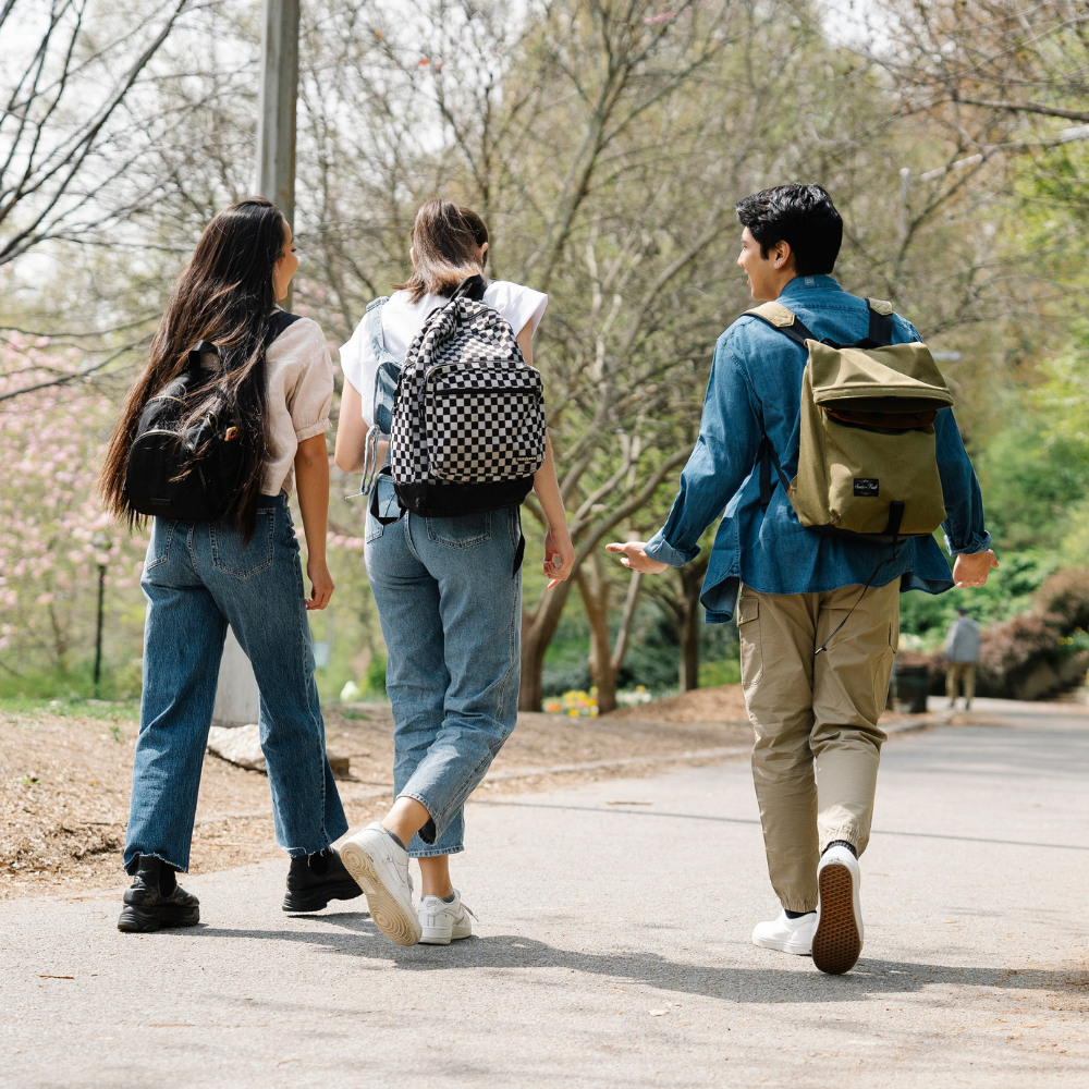 everyday insoles, comfortable insoles for walking, lightweight shoe insoles, breathable insoles